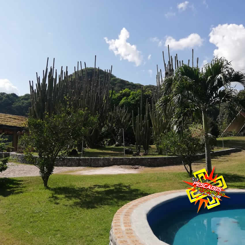 Campamento en el río Pescados Jalcomulco Veracruz